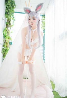 无码出毛水视频免费看_BD英语高清完整版